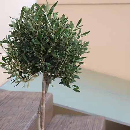 Διαμέρισμα Fos Luxury Κάρυστος