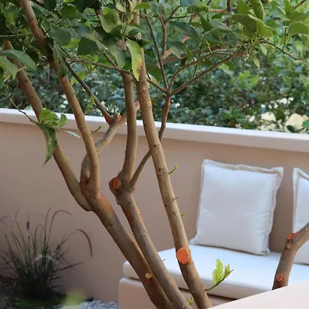 Fos Luxury * Κάρυστος